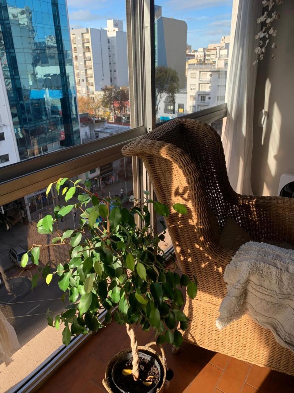 Centro Mdq Apartment *